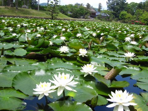 衆楽園