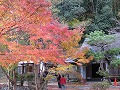 近水園（おみずえん）