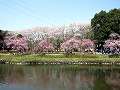 近水園（おみずえん）