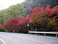 宇甘渓自然公園