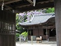 由加神社（和気）