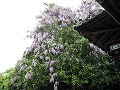 由加神社（和気）