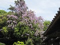 由加神社（和気）