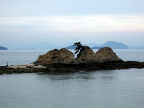 寄島園地・三郎島（アッケシソウ）