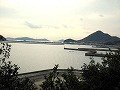 寄島園地・三郎島（アッケシソウ）