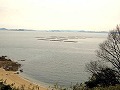 寄島園地・三郎島（アッケシソウ）