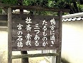 鴨神社