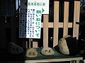 沖田神社・道通宮