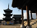 西大寺観音院会陽（はだか祭り)