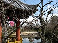 まきび公園