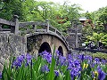 菅原神社　めがね橋