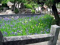 菅原神社　めがね橋