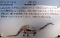 カブトガニ博物館・恐竜公園