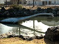 カブトガニ博物館・恐竜公園