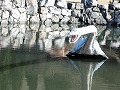 カブトガニ博物館・恐竜公園