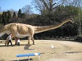 カブトガニ博物館・恐竜公園