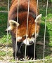 池田動物園