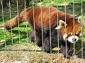 池田動物園