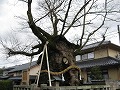 中山神社