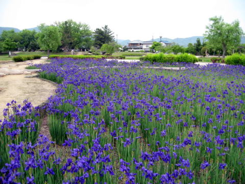 備中高松城跡