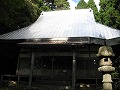 菩提寺　イチョウ