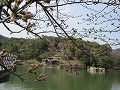 丸山公園