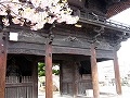 妙林寺