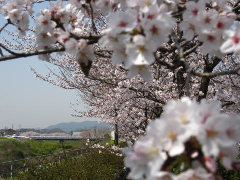 金光駅