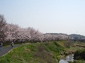 金光駅