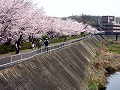 金光駅