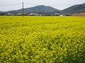 県農林水産総合センター