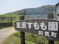 室原すもも園