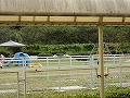 和気鵜飼谷公園