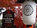 下鴨神社