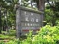 下鴨神社