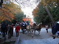 下鴨神社