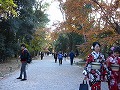 下鴨神社