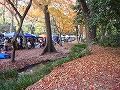 下鴨神社