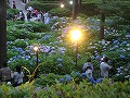 三室戸寺