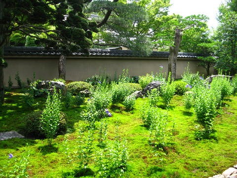 天得院