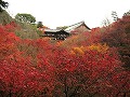 東福寺