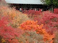 東福寺