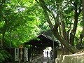 東福寺