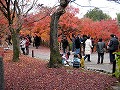 東福寺