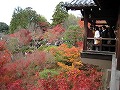 東福寺