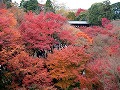 東福寺