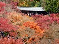 東福寺