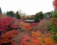 東福寺