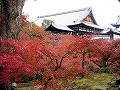 東福寺