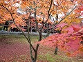 東福寺